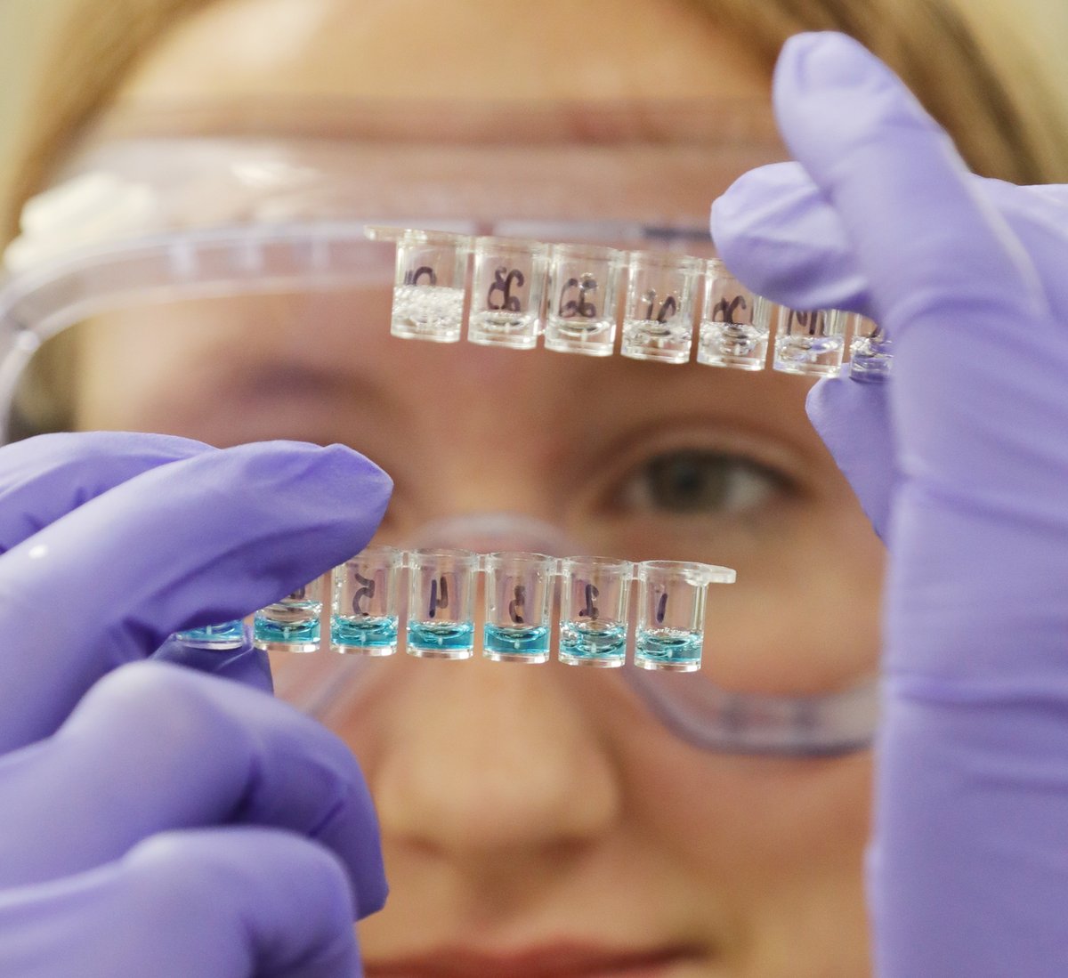 FRCCBioMed's tweet photo. First lab of the year was an ELISA to "see" how antibodies can be used to detect disease. BioMed students were able to identify which patients tested positive for the mystery illness. We don't always get accurate results so this was exciting!
#engageSDOW
#BioMed https://t.co/ybPWAqceHn