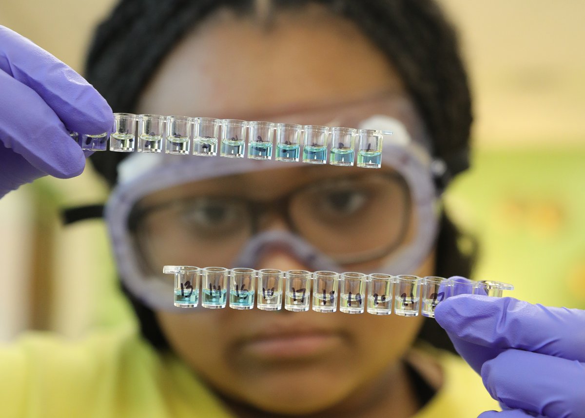 FRCCBioMed's tweet photo. First lab of the year was an ELISA to "see" how antibodies can be used to detect disease. BioMed students were able to identify which patients tested positive for the mystery illness. We don't always get accurate results so this was exciting!
#engageSDOW
#BioMed https://t.co/ybPWAqceHn
