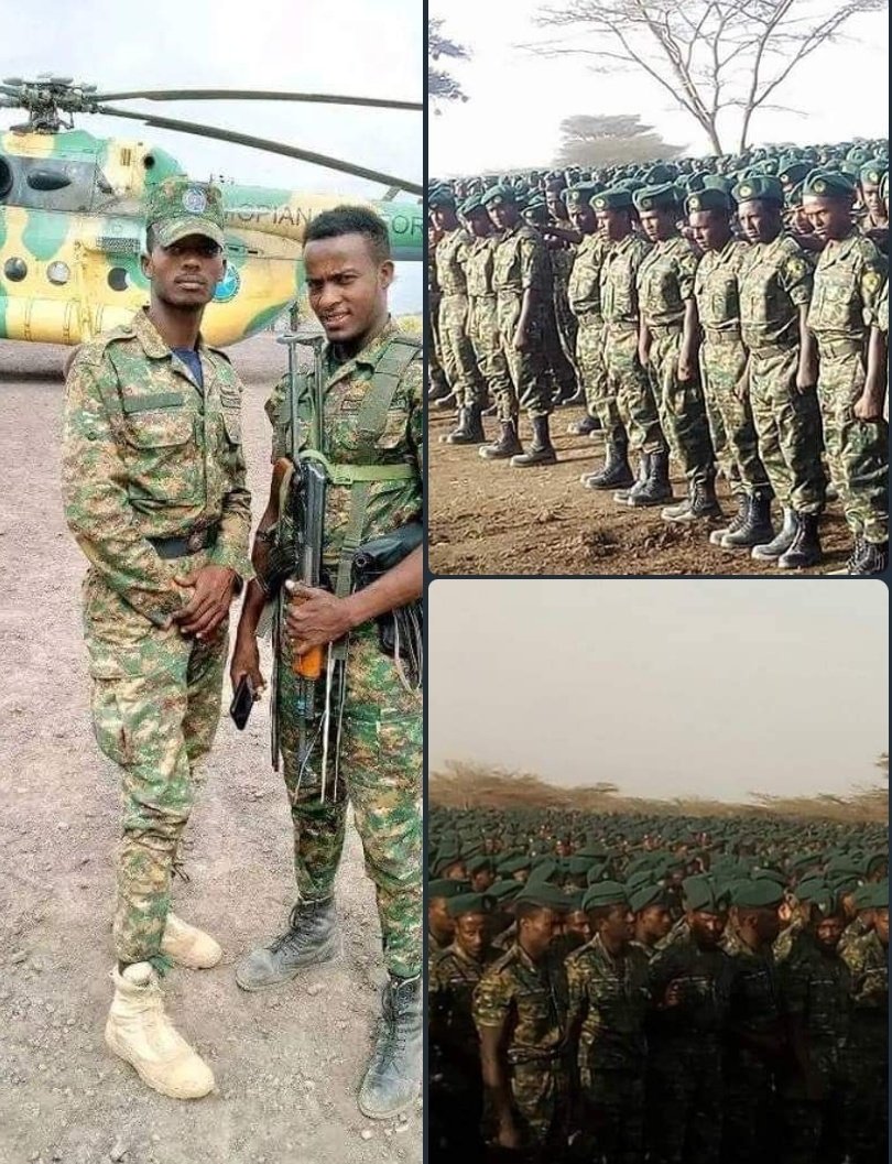 ኢትዮጵያውያን🇪🇹🇪🇷 tweet media