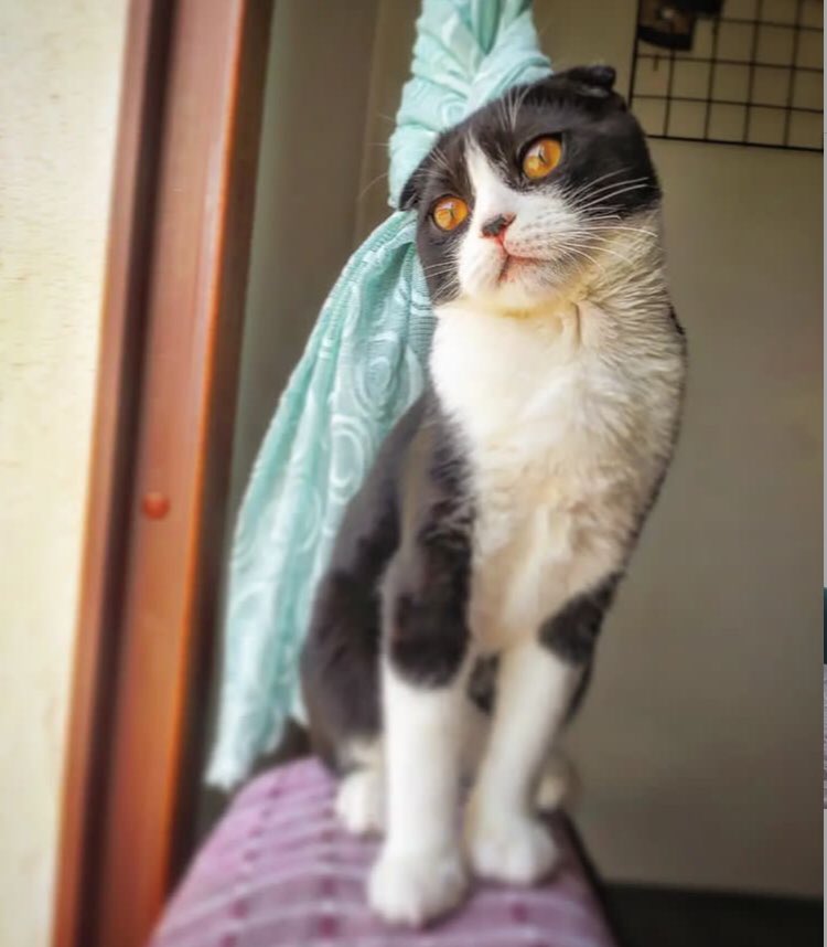 Mona anne olacak tebrikleri alabilir miyim 😅