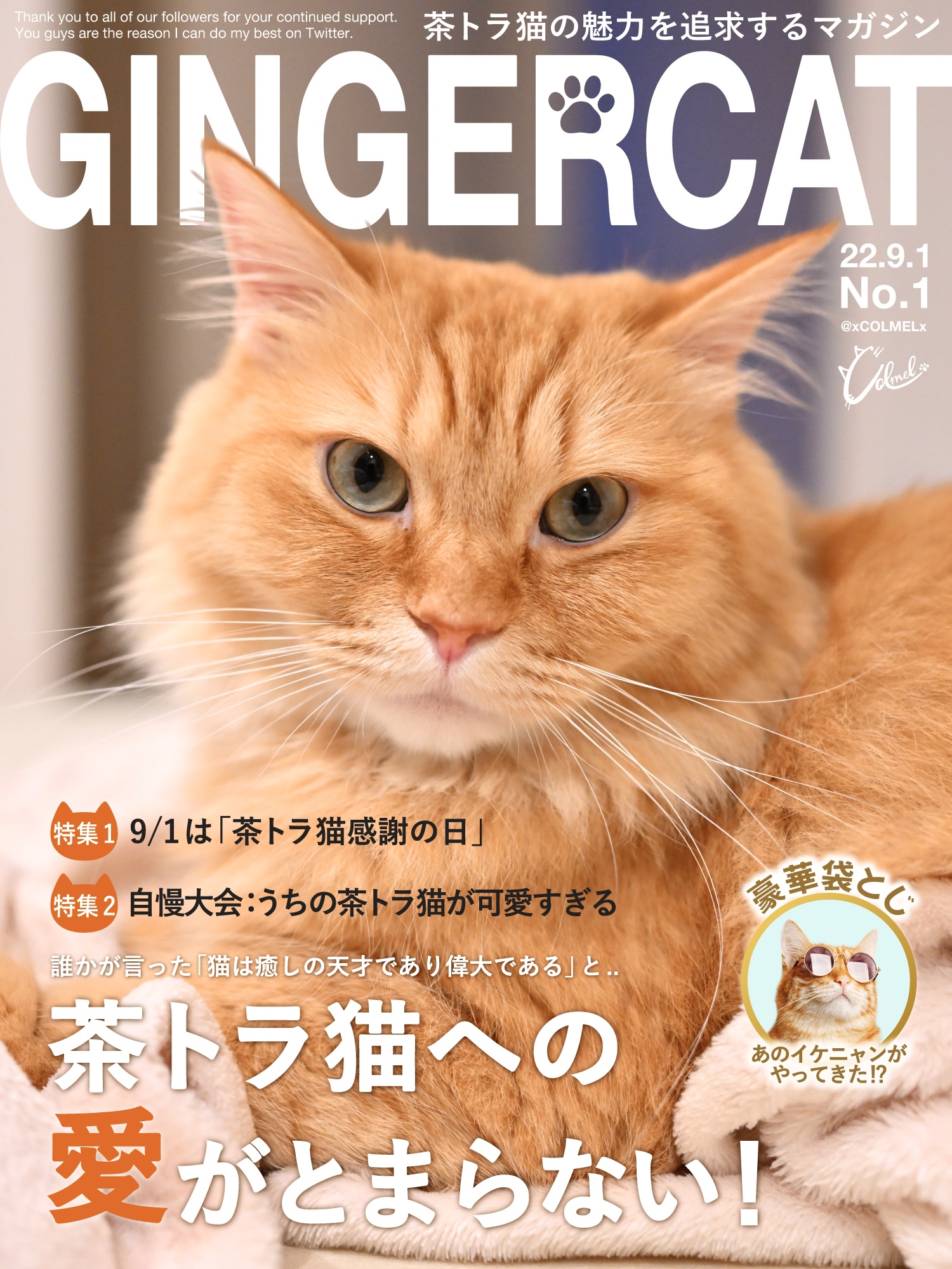 コルメル Cat Specialist Xcolmelx Twitter