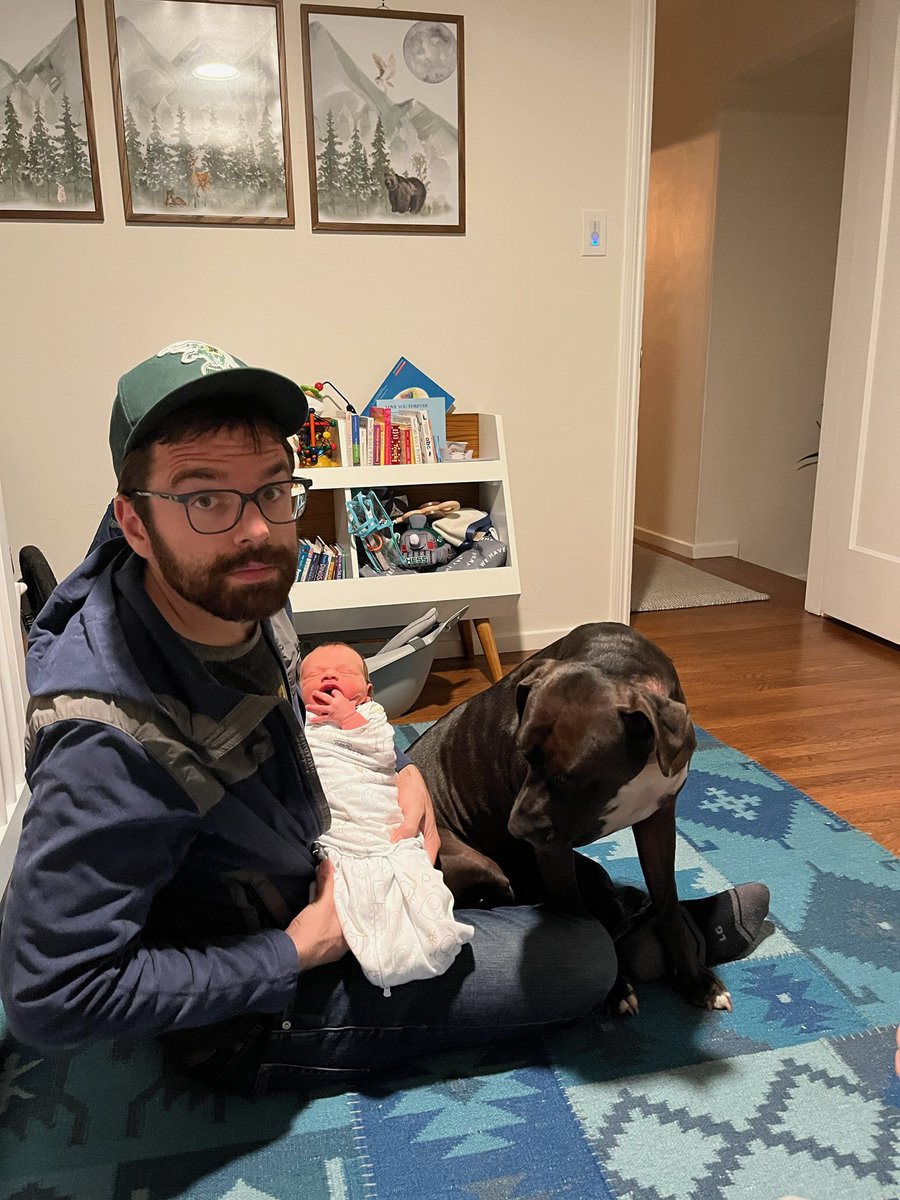 Joseph Cutrona tweet media