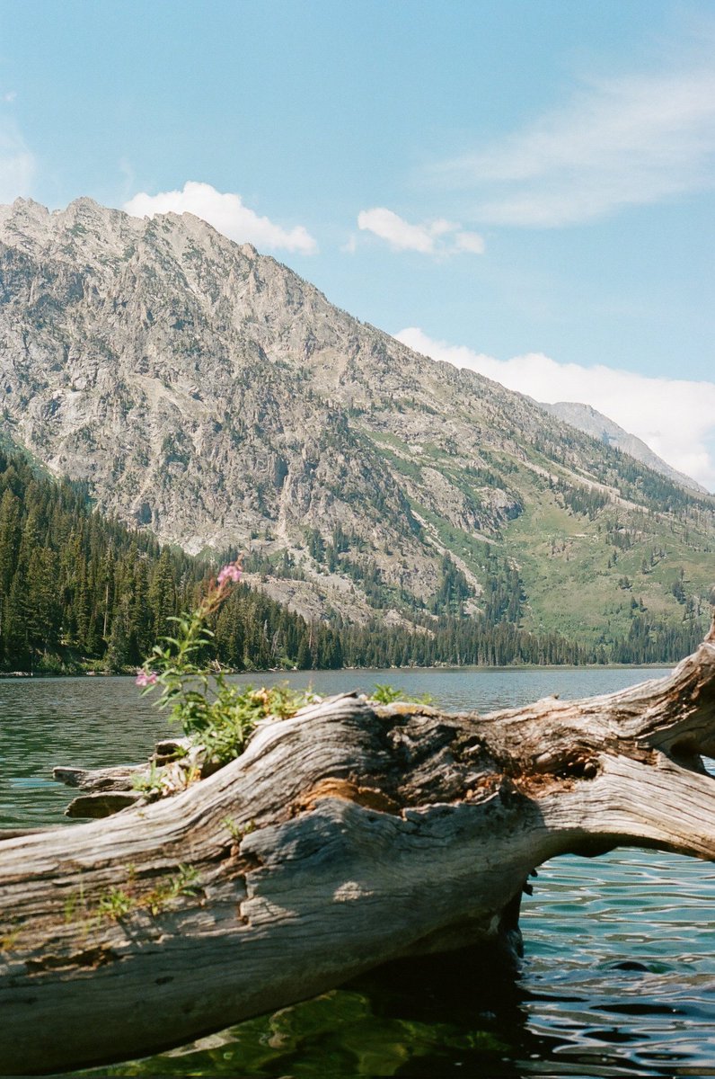 I think I'm finally getting halfway decent at film. Just got a new roll back, super stoked on most of them.