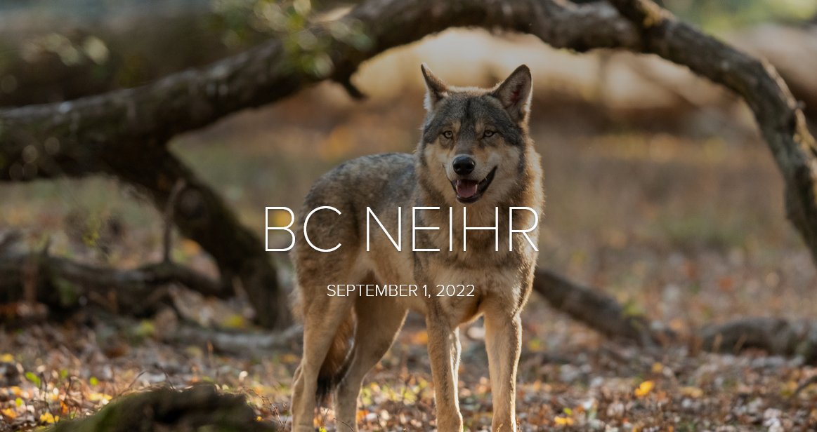 BCNEIHR's tweet photo. Our September newsletter is available now! Some opportunities are closing early in the month, so check it out and share widely😉https://t.co/j5mtuIooZH @fnha @MetisNationBC @BCAAFC @CIHR_IRSC @UBC @RCC_bc @Indspire @sfuCMNS @Northern_Health @ISPARCBC @_FPCC @TheNCCIH @FNFMB https://t.co/775abDnQQe