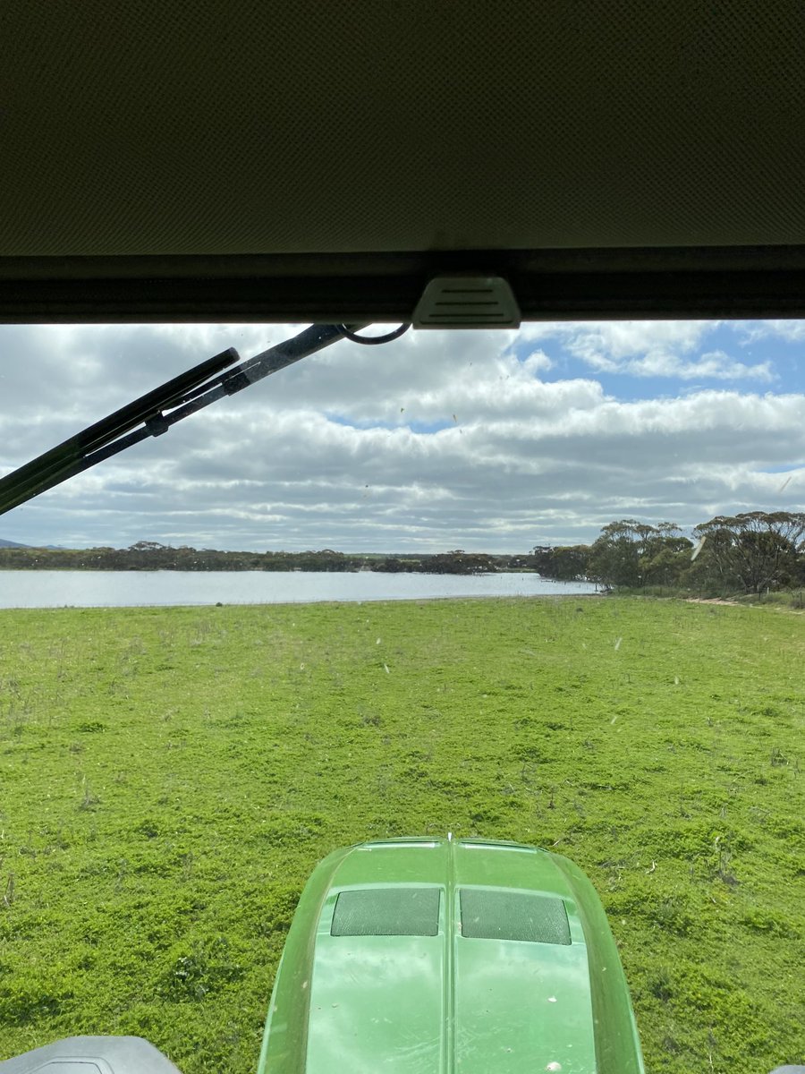 Ashley Butterfield tweet media