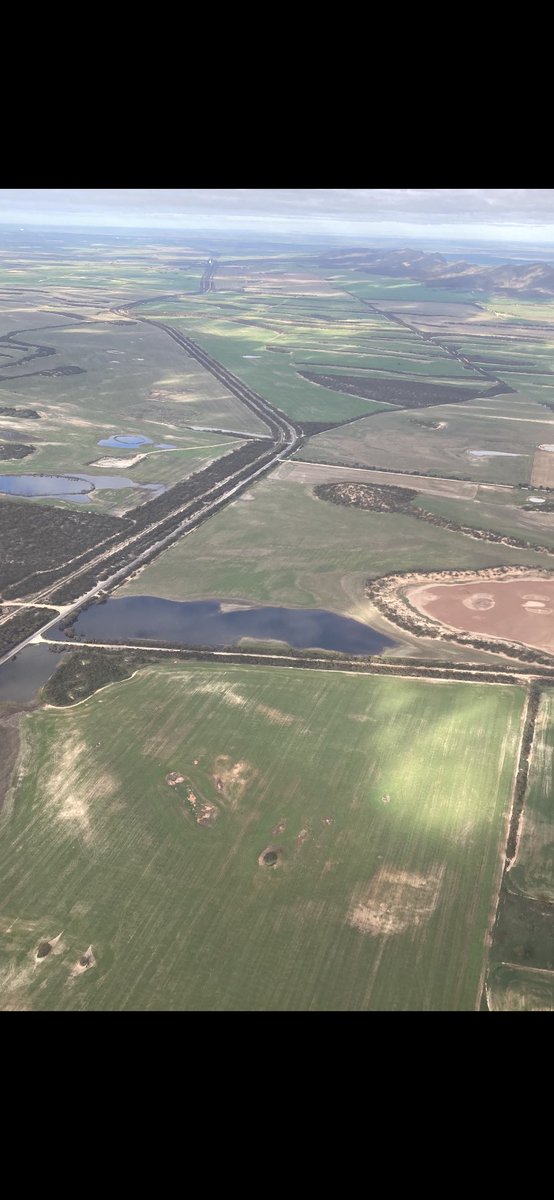 Ashley Butterfield tweet media