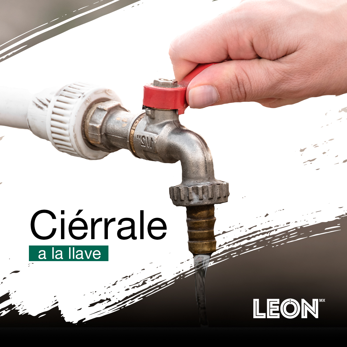 León MX tweet media
