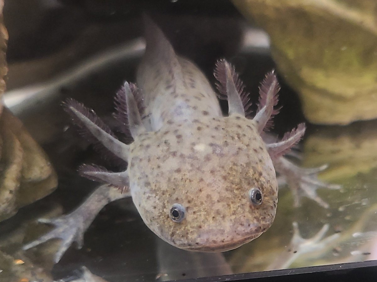 superkleen's tweet photo. Hello #lotls! https://t.co/0lFVkh8xOq