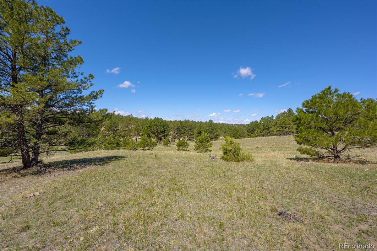 BHGREKenneyCo's tweet photo. Do you know someone looking for a great #property in #DeerTrail? #realestate https://t.co/sxligrfsHp https://t.co/T3W8LXzASy