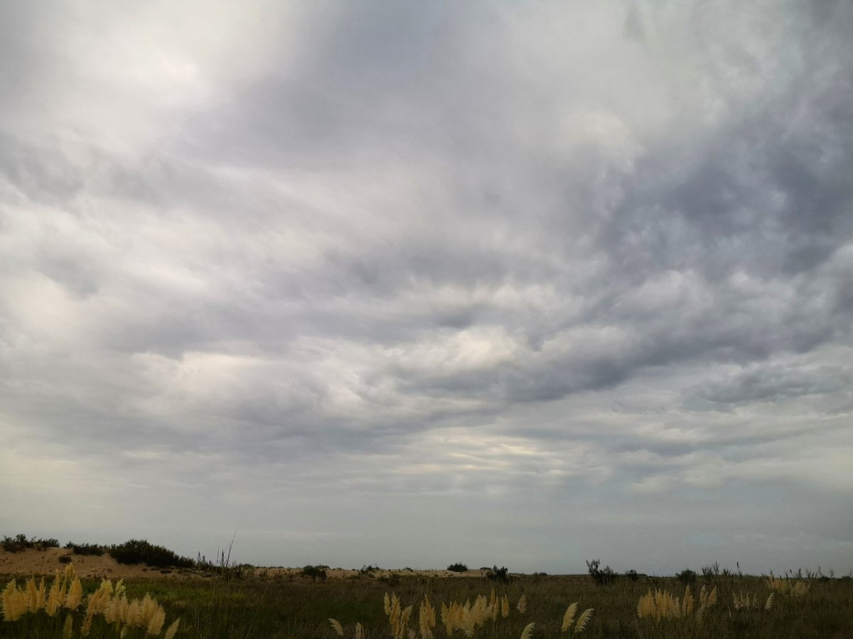 meteoecovisual's tweet photo. Así empezaba este miércoles en #riumar después de algo de #lluvia
#Terresdelebre
#Reservadelabiosfera
#ebro #rioebro #deltadelebre #pndeltadelebre
#deltadelebro #naturaleza #paisajes #vida
#meteofoto
#Cielos #cielo #nubes #meteo #meteorología
#observadormeteorólogico https://t.co/cjpbUumEaI