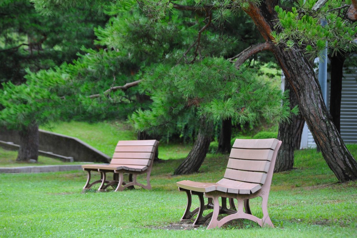 家族信託の有効利用法

被相続人のご年齢が高いほど相続に対するリスクが増えます

また認知症になってしまうと収益物件等が凍結されてしまいます

ぜひ家族信託を考えてみませんか？

bit.ly/1gYD9ll