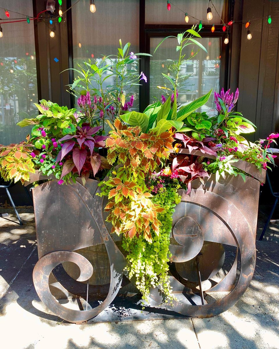 Rick_Bayless's tweet photo. On Sunday mornings, Deann and I go to the farmers market to pick up the *most beautiful* flowers from Heidi @petalsfarm. Then she &amp; her team craft these beautiful arrangements. Last pic is a b’tiful planting on the Frontera patio that I am wild about! Yeah, we really like flowers https://t.co/F8U6RwVVtS