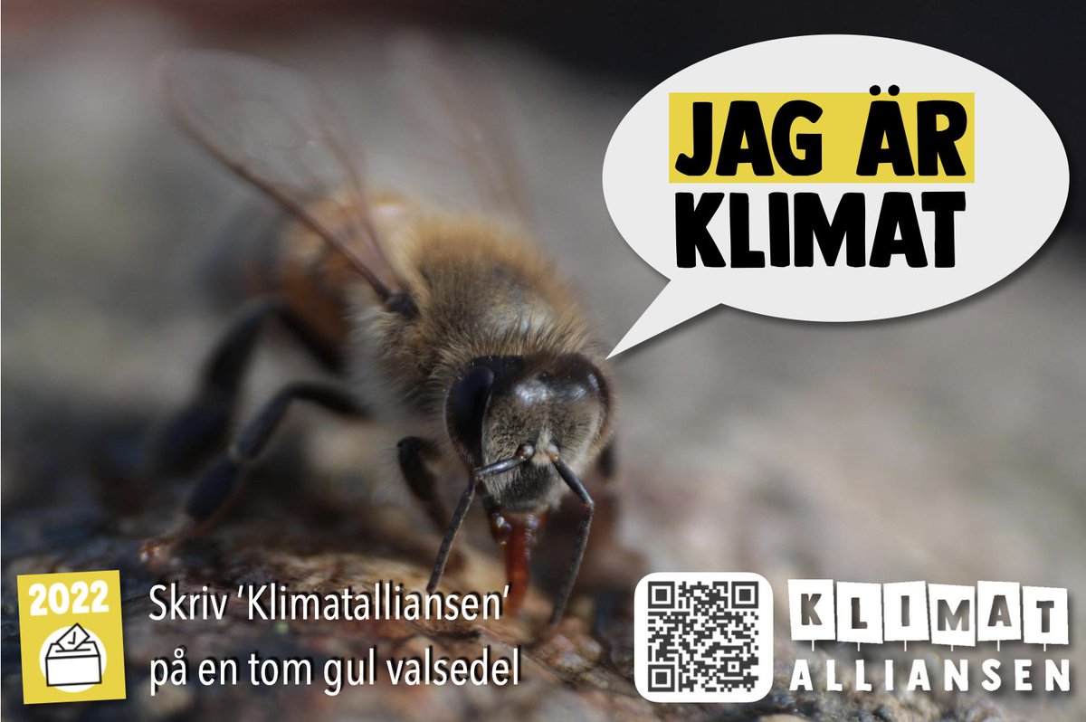 klimatalliansen's tweet photo. Är du också klimat? Trött på att gammelpolitikerna stoppar huvudet i sanden i valrörelsens viktigaste angelägenhet? I så fall vet du vad du ska rösta på den 11 september! #JeSuisClimat #svpol #Agenda22 #val2022 #klimatval2022 https://t.co/AxZVpTJwbJ