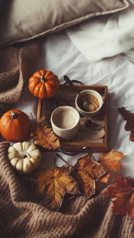 mirhernandez's tweet photo. 1 DE SEPTIEMBRE HAPPY SPOOKY SEASON YALLLLL!!!!!!!!!!!!!!! https://t.co/KT0aHuFOVf