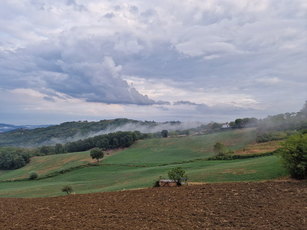 Francesco Bertoni (@maggiolino1979) on Twitter photo 