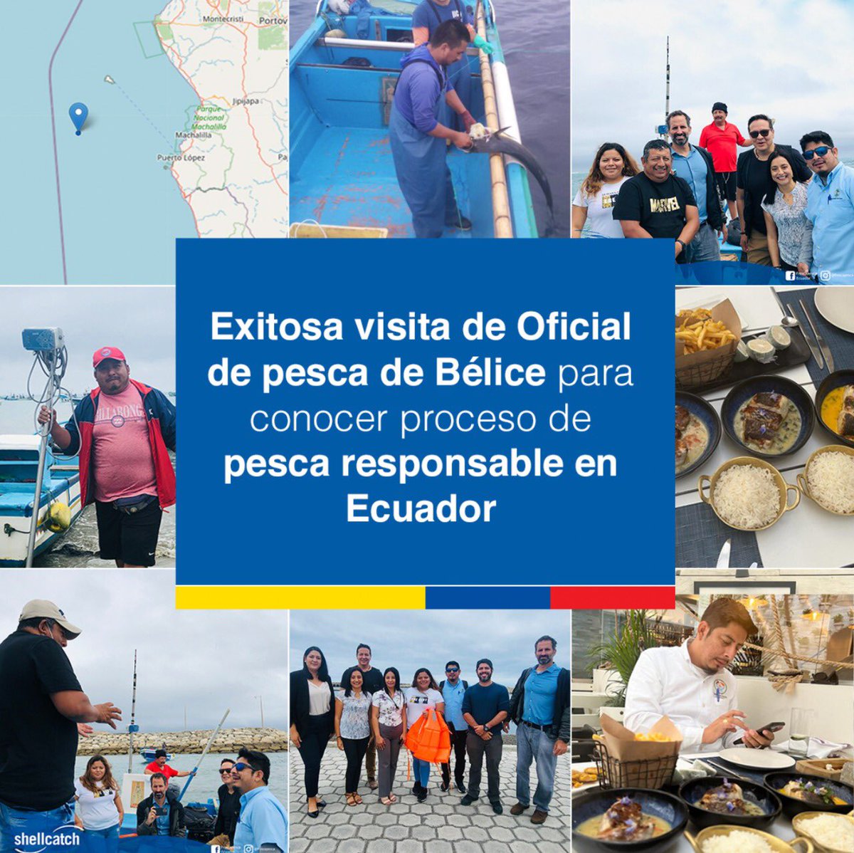 Shellcatch Ecuador tweet media