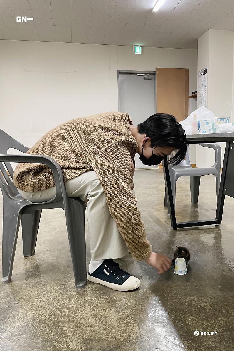 flwrksn's tweet image. Cuties !! 🤎