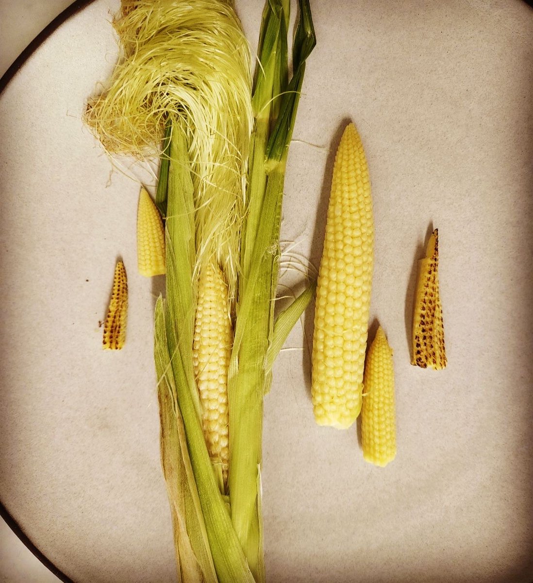 Rick_Bayless's tweet photo. Tracey Vowell, long time managing chef at Frontera, is now one of our beloved growers @threesistersgardenkankakee . She’s growing this mighty baby corn that is featured in a luscious chilled corn soup in Topolo. https://t.co/NHzXXg7Wyt