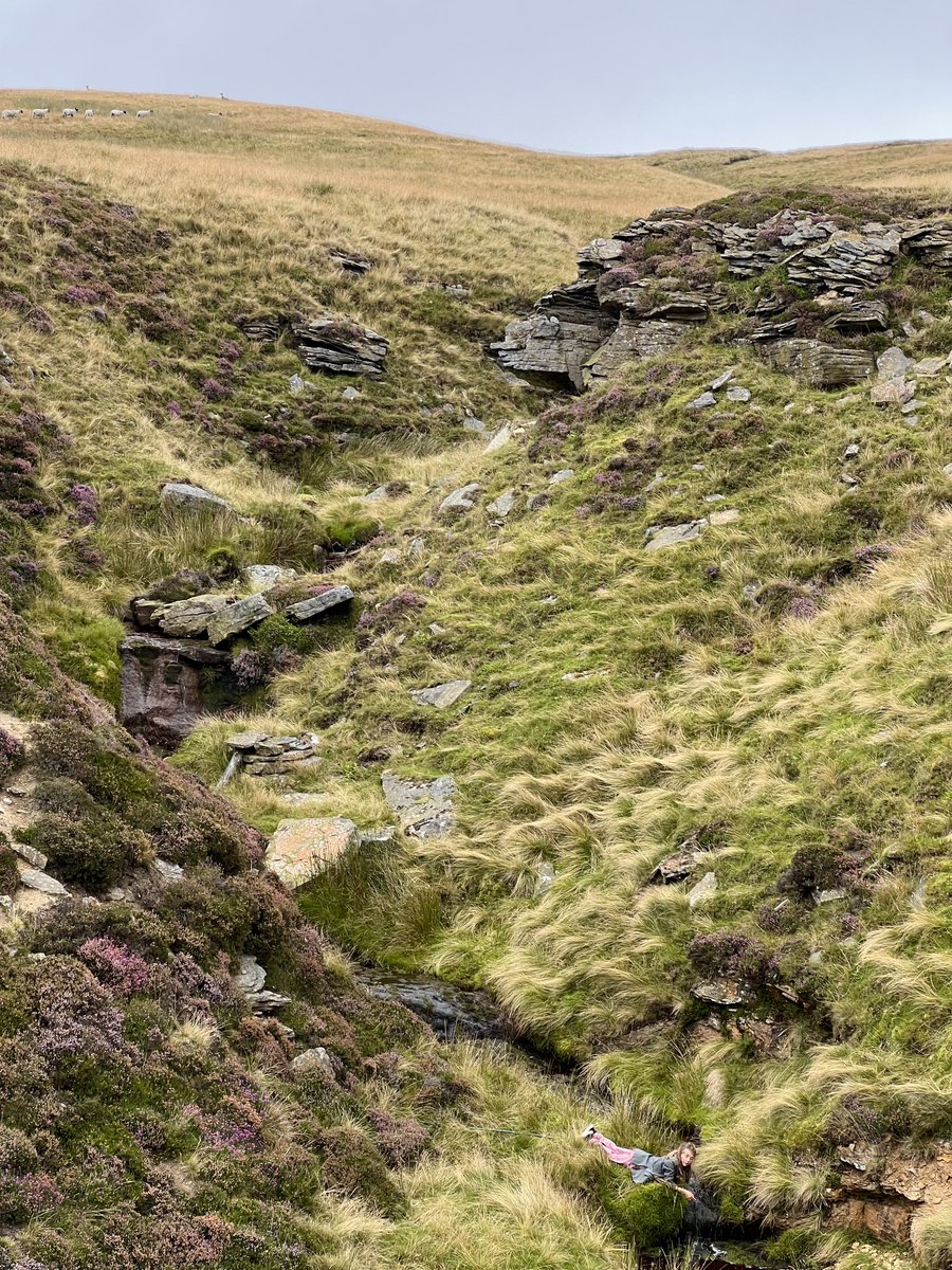 Out &amp; about with the dream team.
🐶👫👭🐶 
#yorkshire #shepherdess #gathering  #sheepdogs