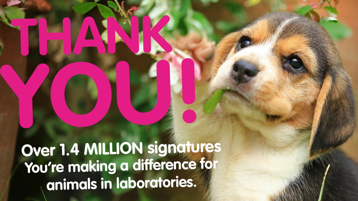 WE DID IT! 🎉 

The End Animal Testing European Citizens’ Initiative signature collection period has officially finished — with over 1.4 MILLION signatures calling for action to end animal suffering in laboratories! 

THANK YOU!! 

#EndAnimalTesting
