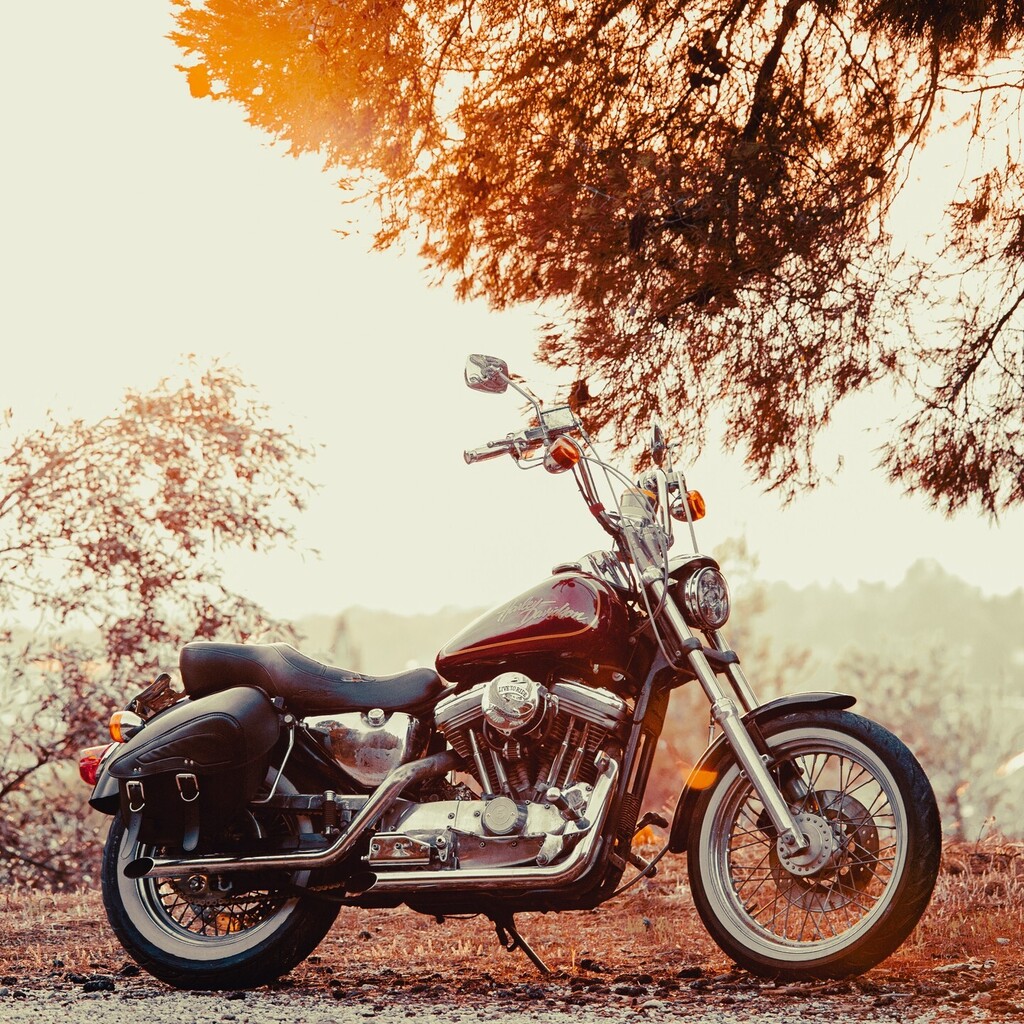 TMaikousis's tweet photo. Just trying out my new Sigma 150-500mm using my bike as a model.
 Again!
.
.
.
Shot using a Nikon D3s
.
.
@hogemea @harleydavidson @harleydavidsonathena 
@sigmaphoto 
@nikongreece 
#sportster #harleydavidson #harleydavidsonathena #athens #Greece 
#hogeme… https://t.co/ujhVSjfziv https://t.co/aP5sawm5R4