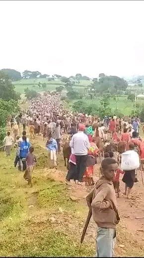 At least 61 Oromo civilians were killed by the irredentist Fano militia in Agamsa (Amuru district of East Walaga) in an early morning attack yesterday. Thousands have been displaced. This is a longstanding issue for which we have sounded the alarm for a long time. #AgamsaMassacre
