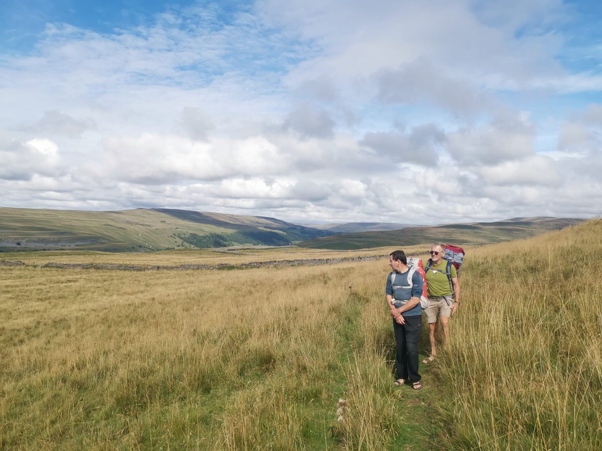 Swaledale OC tweet media