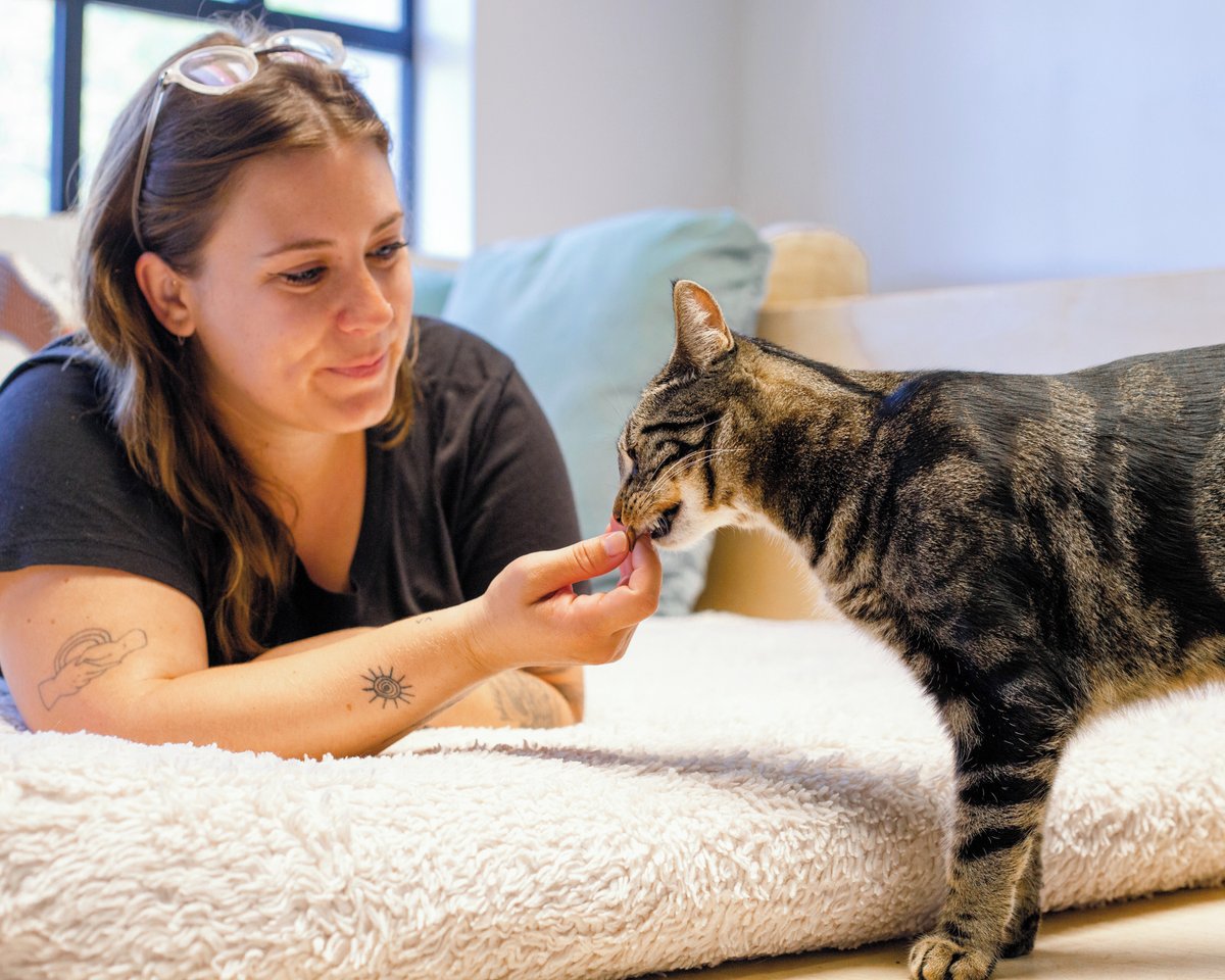 CatCafe Lounge tweet media