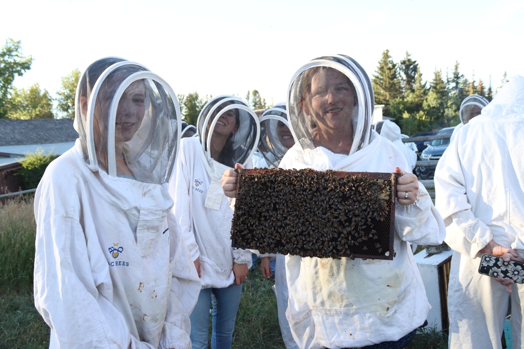 ABC Bees Canada tweet media