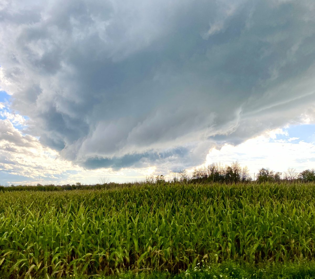 SZurbrigg's tweet photo. Drove through a wild storm by the Rideau River N at 22, then grabbed this photo once we turned S and were out of the storm. Got a tornado warning after we passed through. Was this the tornado warned storm? @ConnorMockettWX https://t.co/T7eWQ7m8dn