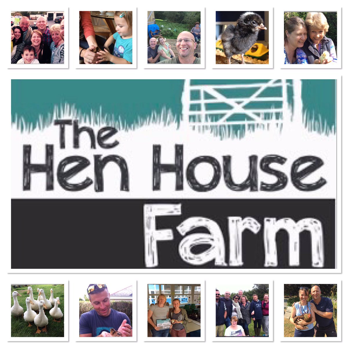 thehenhousefarm's tweet photo. #Avianflu #preventionzone #heretohelp #thechickenman__
Check our Facebook group TheChickenMan__ for helpful hints and tips to keep your beloved chickens healthy and free from this terrible disease. https://t.co/p1qcZH8cXh