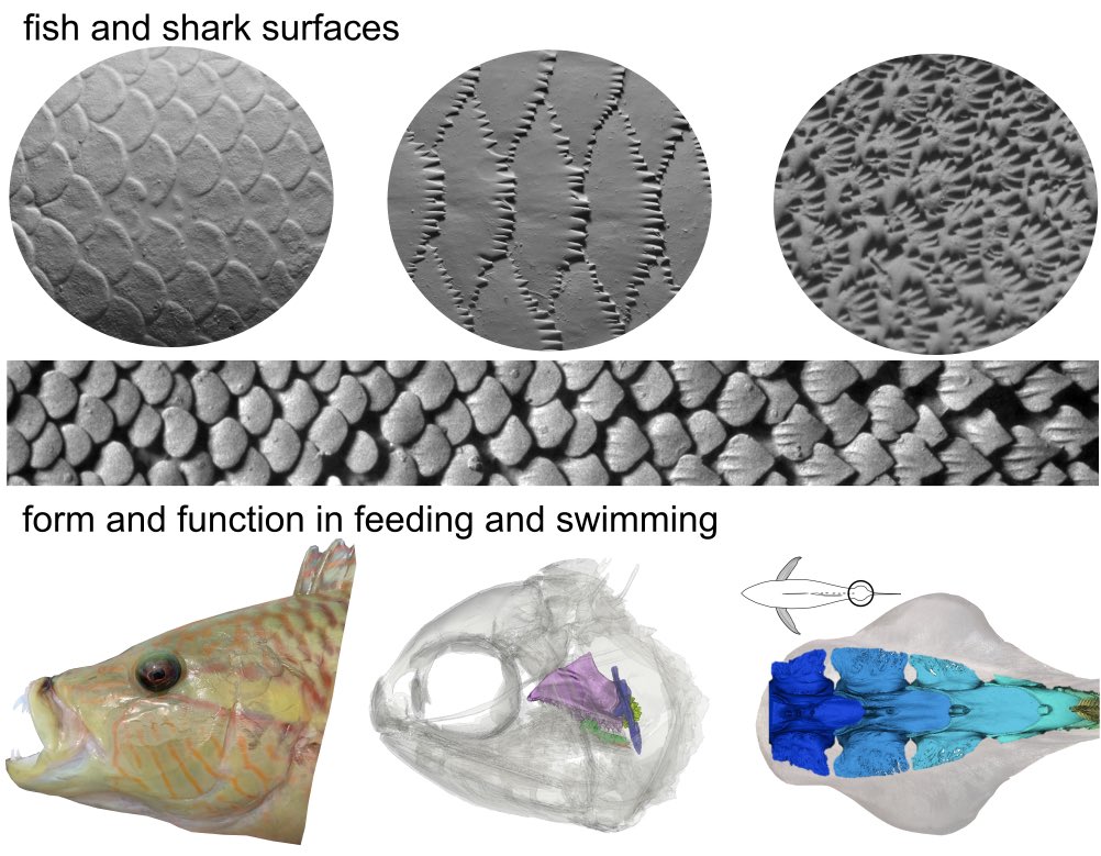 Dylan Wainwright tweet media