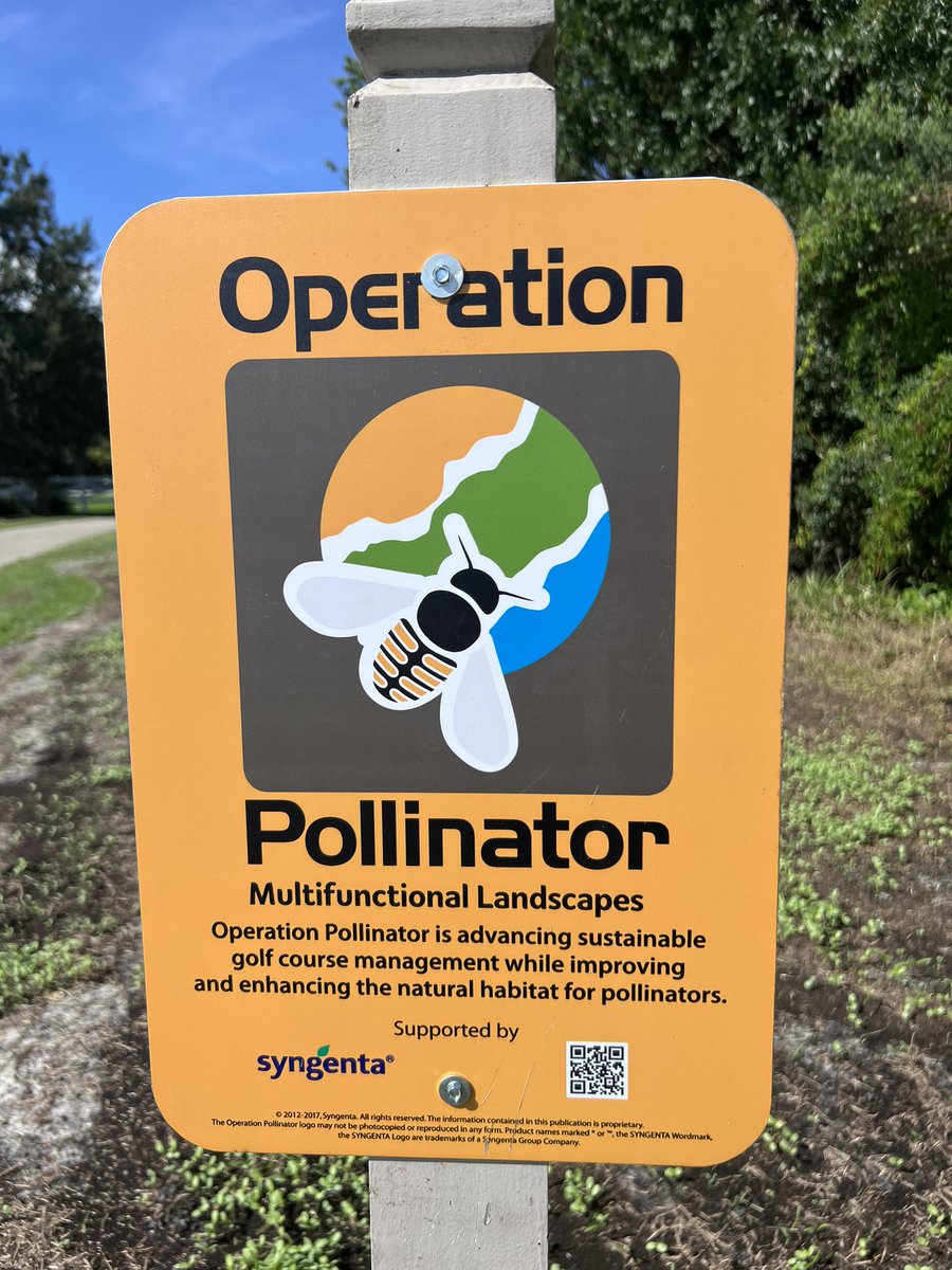 Legacyagronomy's tweet photo. Planted one of many Pollinator fields this week @TyGreenkeeper 2 day germinate!!! Flags that represent countries of our team came in!!! We will hang in shop! Of course “Ole Glory” will be the centerpiece! Our crew at The Legacy is top tier!
#happycrewmoretodo #alwaysgoodtimes https://t.co/AQlD2pqoiO