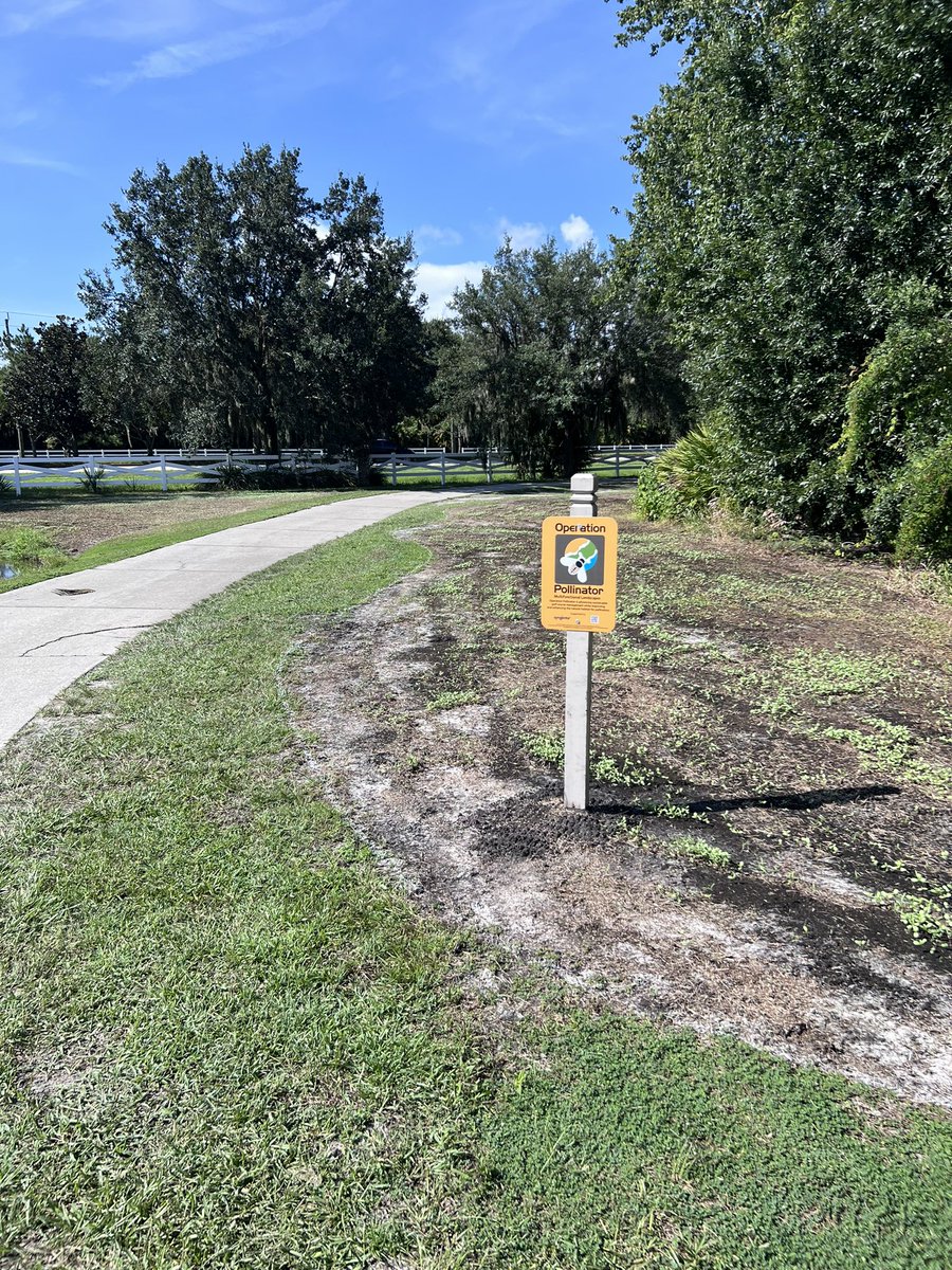 Legacyagronomy's tweet photo. Planted one of many Pollinator fields this week @TyGreenkeeper 2 day germinate!!! Flags that represent countries of our team came in!!! We will hang in shop! Of course “Ole Glory” will be the centerpiece! Our crew at The Legacy is top tier!
#happycrewmoretodo #alwaysgoodtimes https://t.co/AQlD2pqoiO