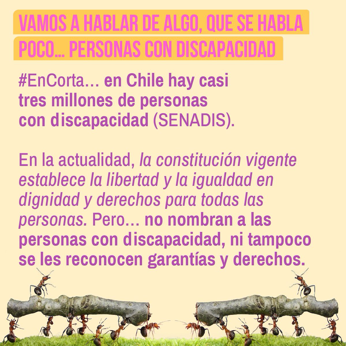 ConstiEnCorta's tweet photo. “…iguales en dignidad y derechos” “Porque las políticas públicas deben considerarnos en la toma de decisiones” “Porque el Estado debe cubrir nuestras necesidades y no dejarnos en manos de la caridad”… @conadis
#participacion #democracia #votoinformado
#discapacidad https://t.co/Pit7LY7SLs
