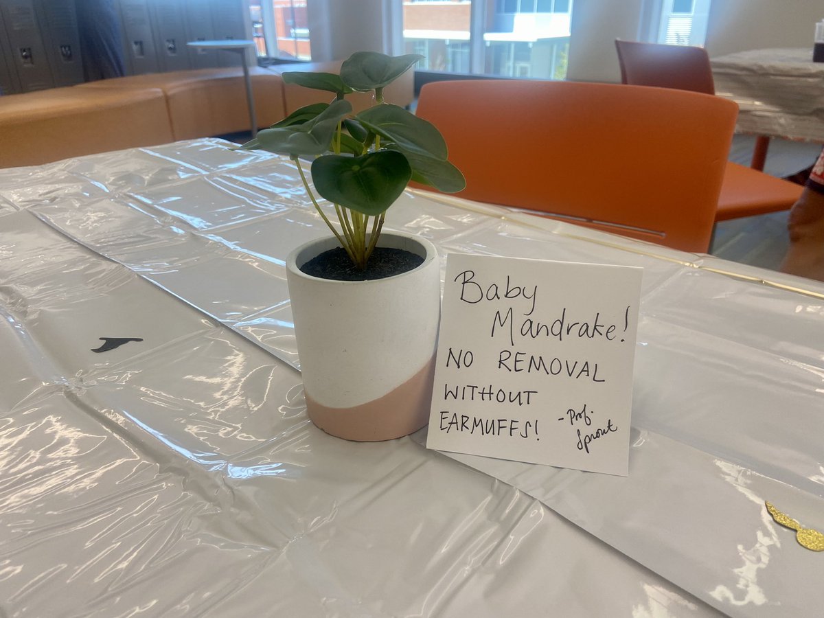 Mrs_Sidoti's tweet photo. I have the MOST THOUGHTFUL co-workers in the WORLD! Thank you so much to my AFMS family for such an amazing HP themed baby shower after school today! ⚡️❤️ I appreciate and love you all so much! https://t.co/xGgQ0pjgYi