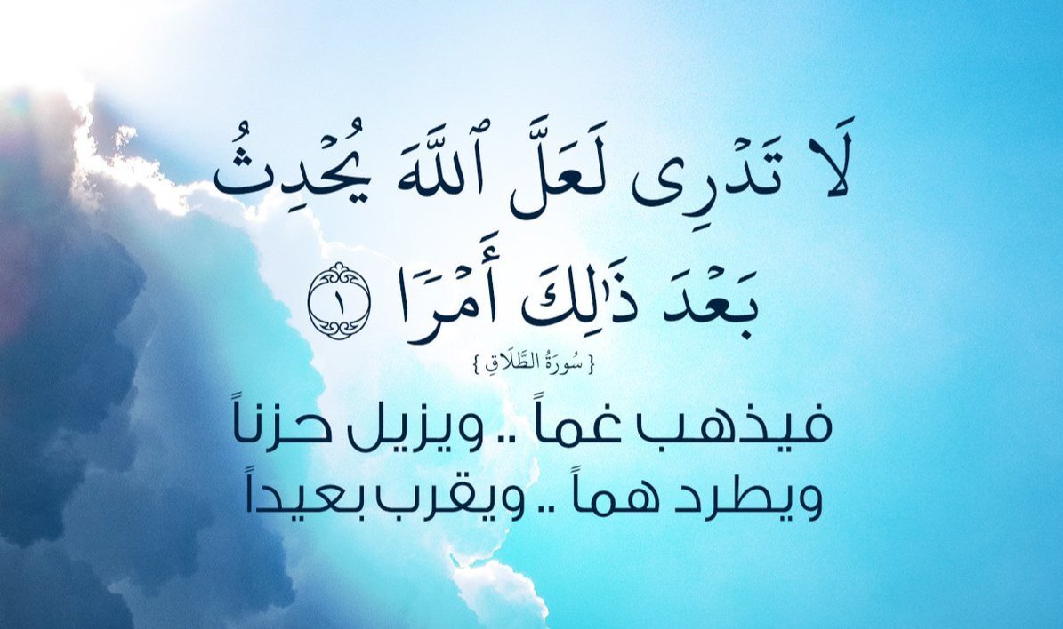 talsammad tweet picture