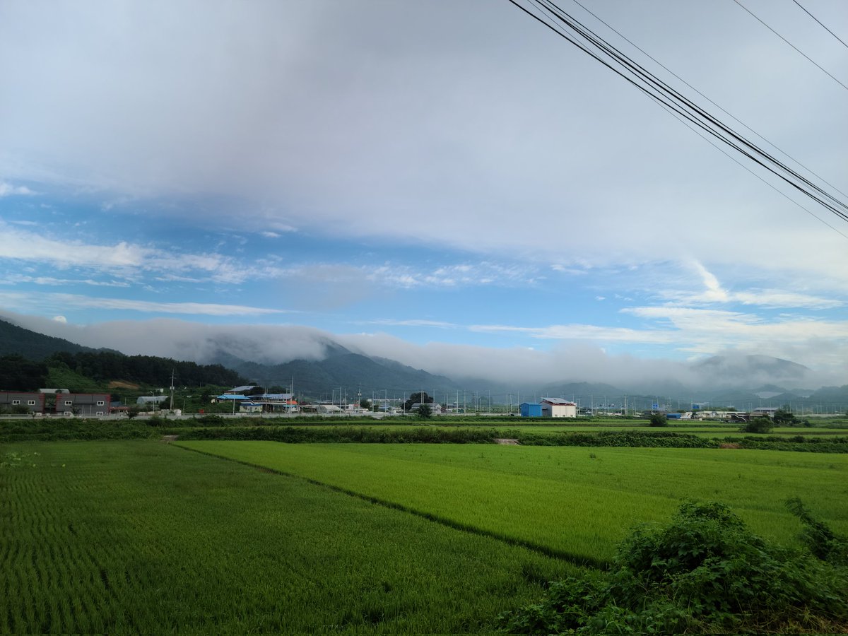 kurob0905's tweet photo. 산에 안개낌 https://t.co/a6g2oxwONj