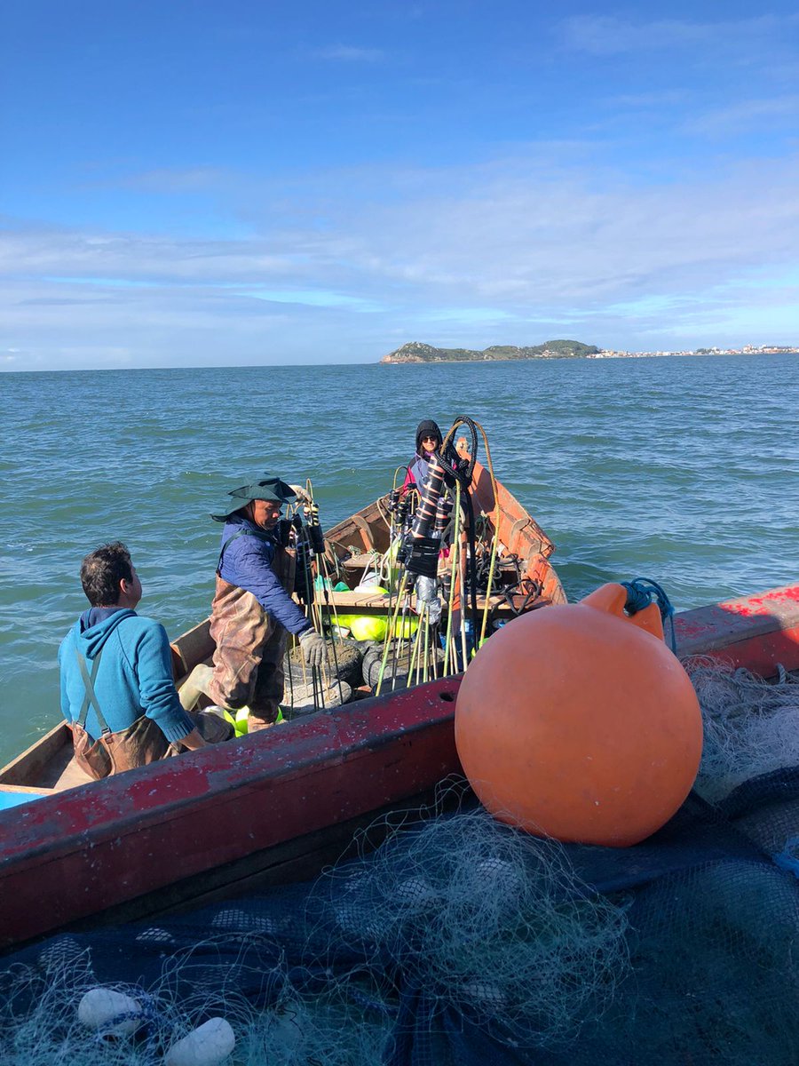 Julia Dombroski, PhD tweet media