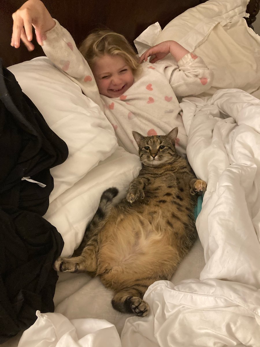 Sarah J Biggs tweet media