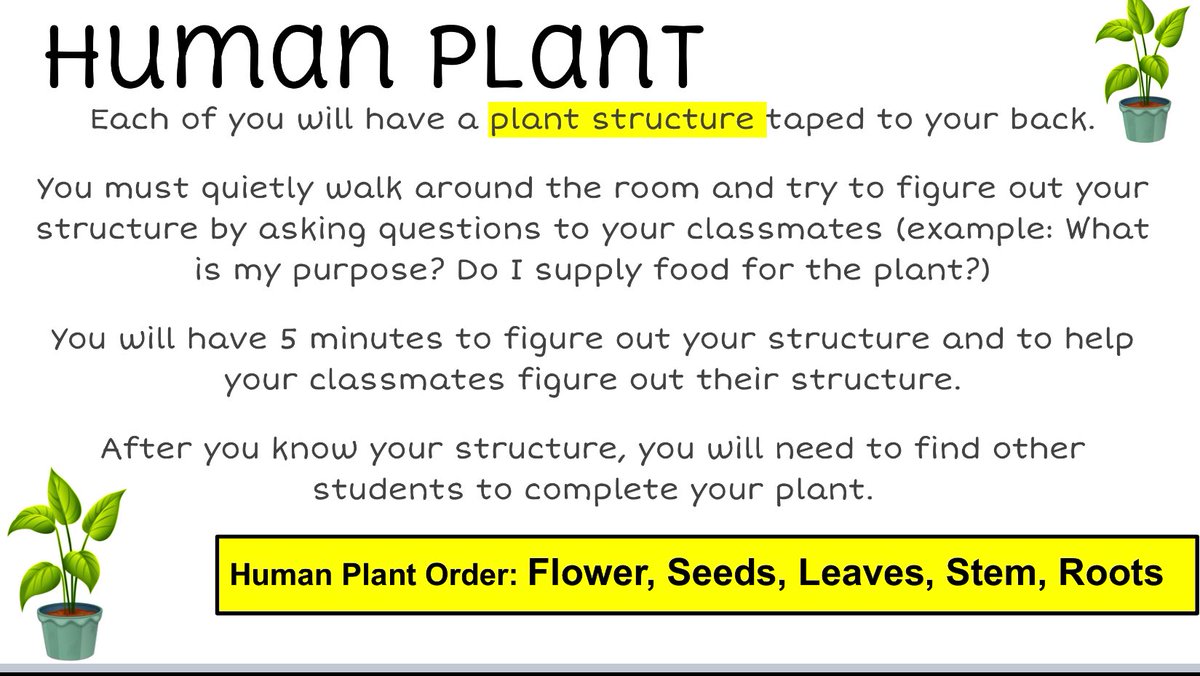 MsWilkinson4th's tweet photo. Human Plant! Students identified the structure and functions of a plant in order to complete their plant puzzle! 🪴 #OneWaverley https://t.co/GuBzkwIWOJ