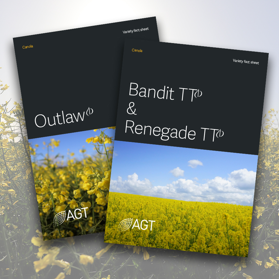 AGT *CANOLA* is here!
Bandit TT, Renegade TT &amp; Outlaw. All Open Pollinated and FREE SEED to AGT growers - as our 20th birthday gift to you!
Check your inbox for details. 
More info: bit.ly/3CLjkuQ
Outlaw: bit.ly/3Rdgnre
Bandit &amp; Renegade: bit.ly/3D0fzlF