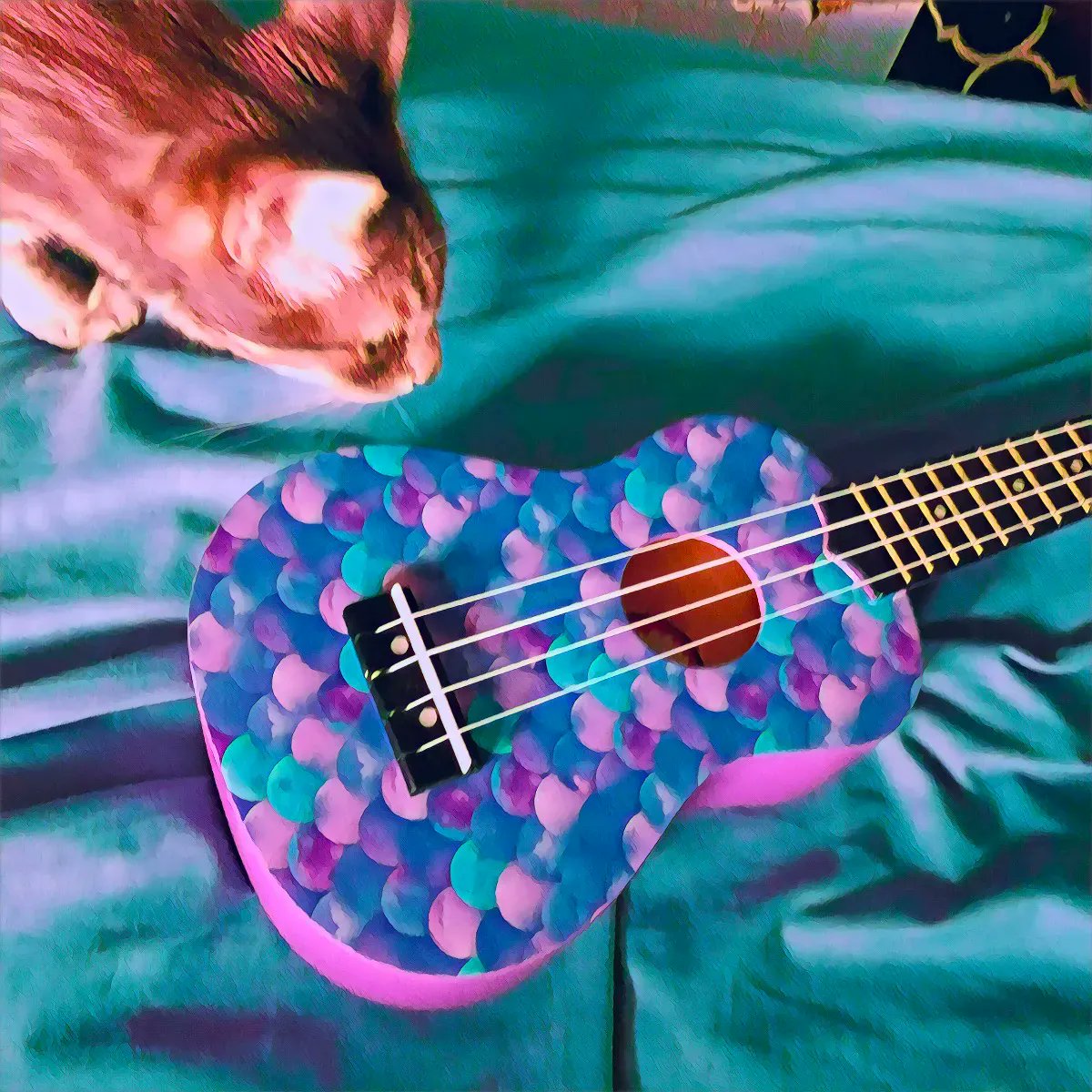 WayofCats's tweet photo. Bud inspects my birthday present. I'm learning the ukelele. The cats might be more interested when I make actual music.
#BudBudtheSpud #CatsofTwitter #CatsofImagination #CatsLikeMusic https://t.co/0Xqi8zIkdZ