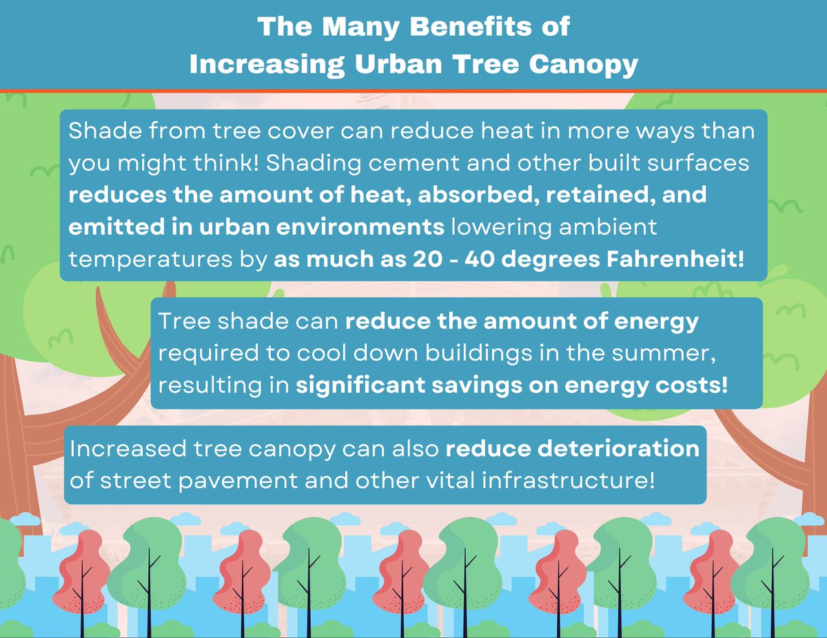 cap_climate's tweet photo. In addition to making our communities more livable, increasing our urban tree canopy can help to combat the most severe impacts of extreme heat! Information on the benefits of greater tree coverage as well as resources to plant more trees in our communities are available below: https://t.co/3Vec7DDBnb