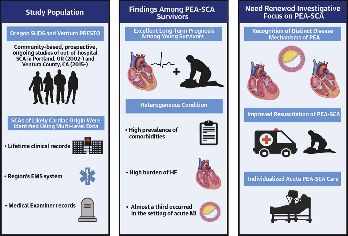 1/3 Congrats @LauriHolmstrom team for your analysis of PEA survivors @JACCjournals authors.elsevier.com/a/1fgde,siTgdC… surprisingly good long-term survival under 40, acute MI setting unexpectedly common, with rising tide of PEA cardiac arrest, should PEA & VF survivors be managed the same?