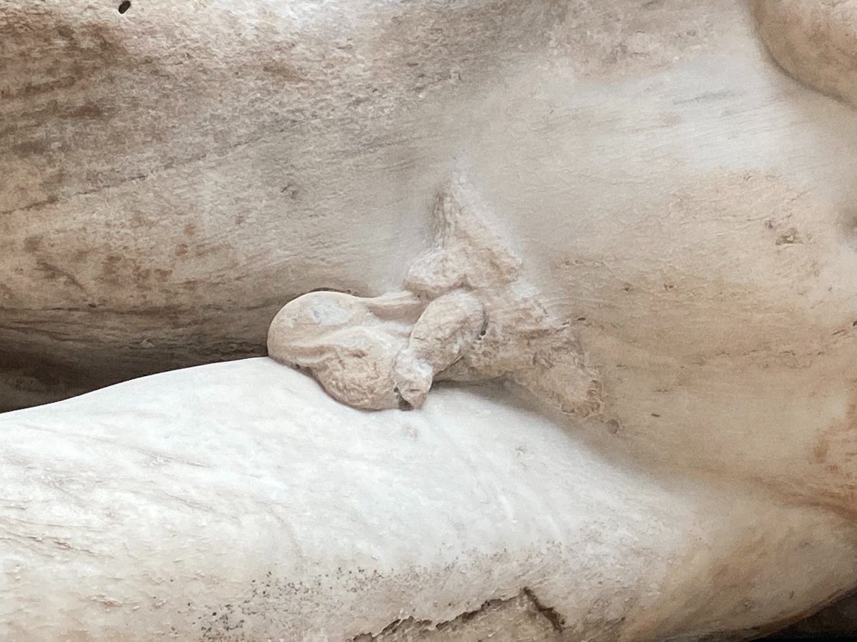 Sarah J Biggs tweet media