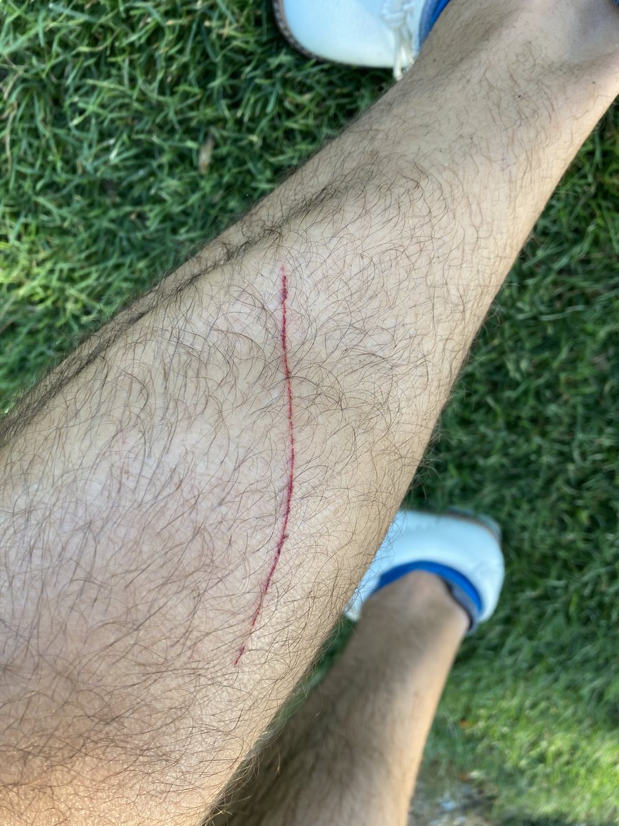 Jon Sherman tweet media