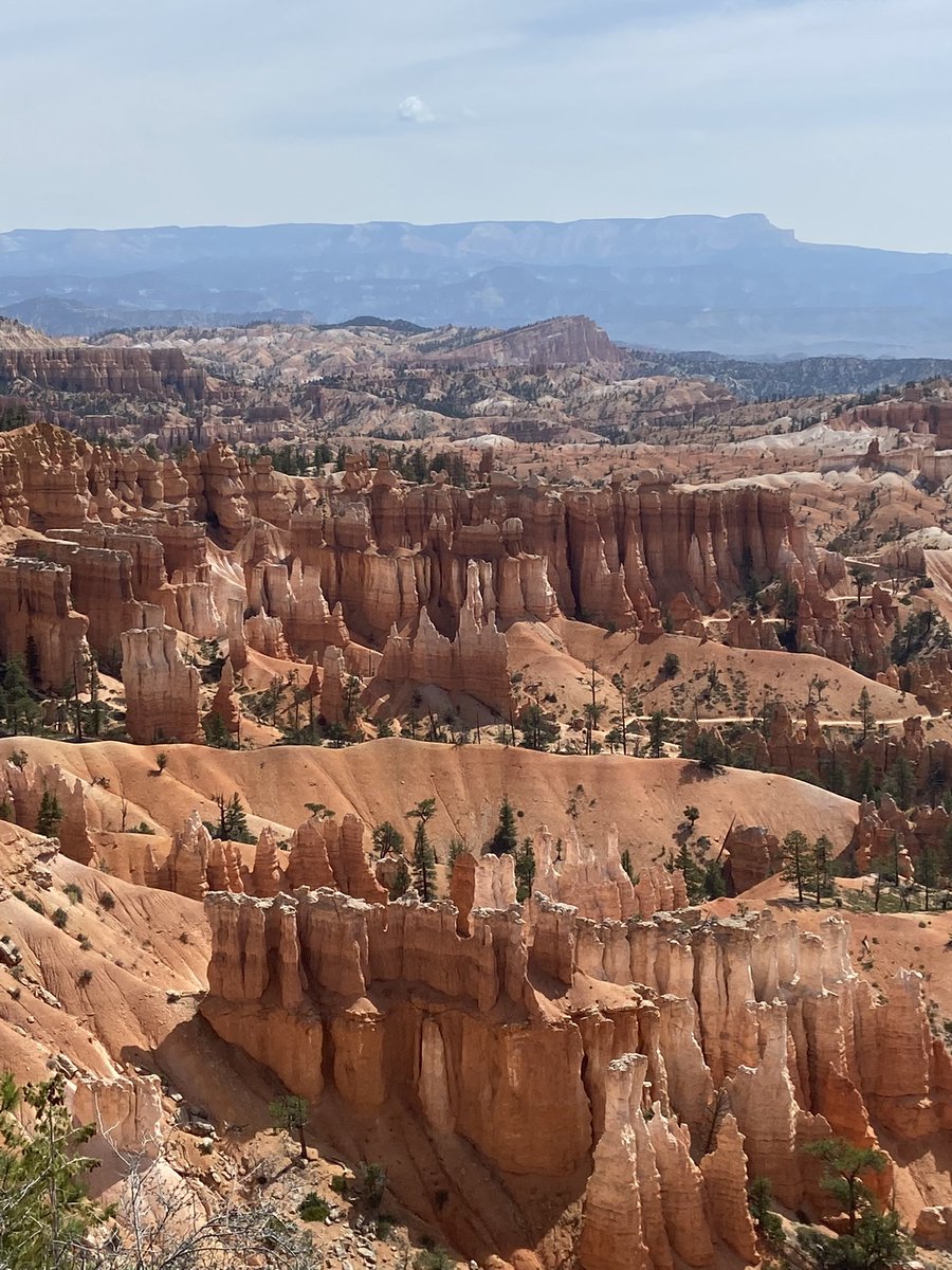 ashmreyn's tweet photo. Pt. 2: Zion (Narrows), Grand Canyon, and Bryce Canyon #Utah #Arizona #zion #grandcanyon #brycecanyon #nationalparks https://t.co/BfVQsCmeSK