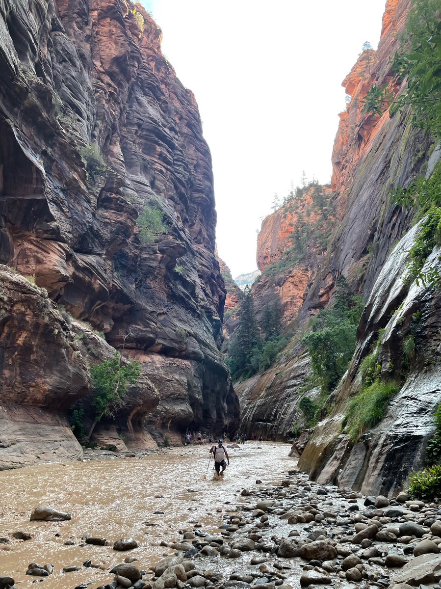 ashmreyn's tweet photo. Pt. 2: Zion (Narrows), Grand Canyon, and Bryce Canyon #Utah #Arizona #zion #grandcanyon #brycecanyon #nationalparks https://t.co/BfVQsCmeSK