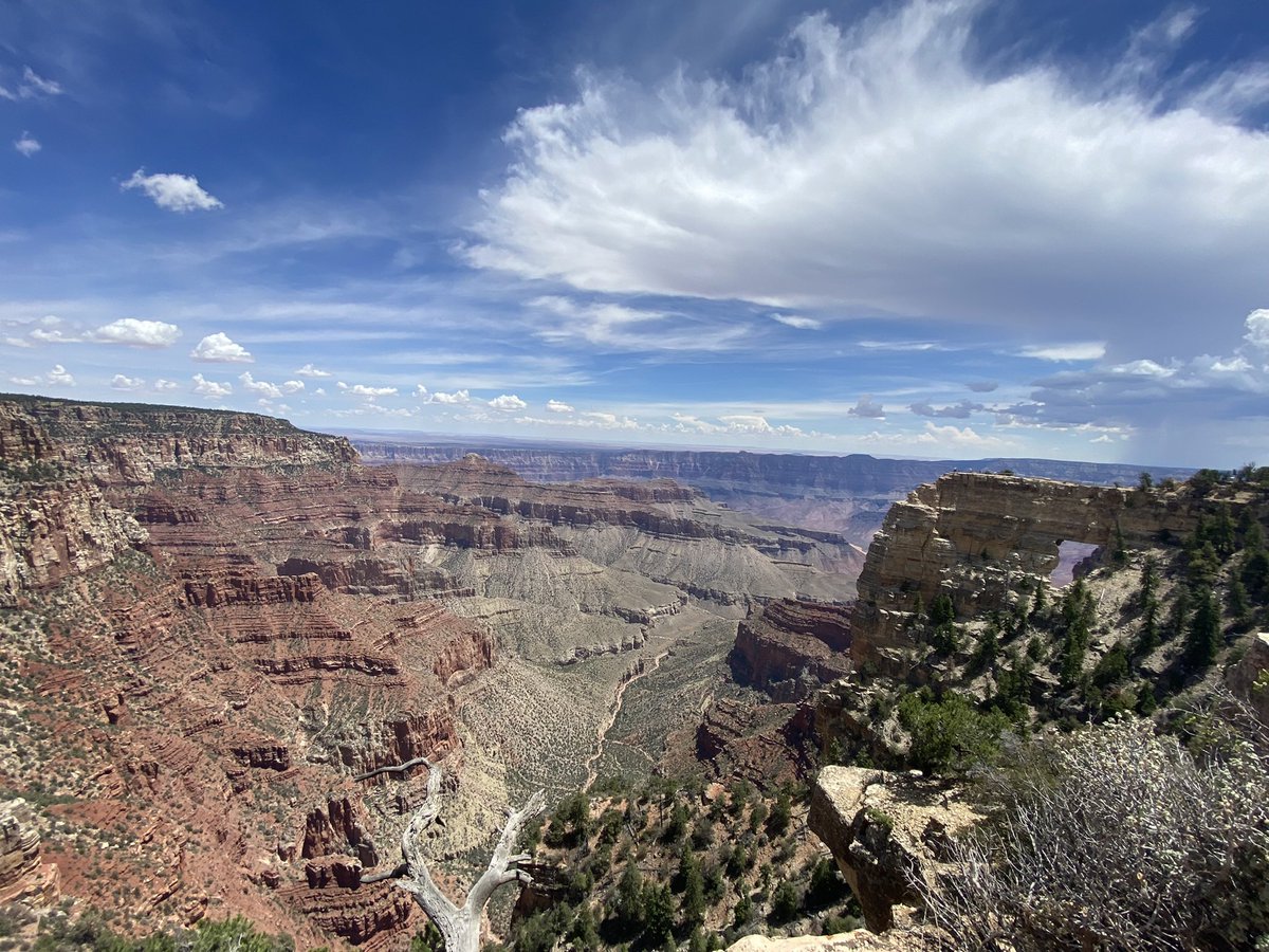 ashmreyn's tweet photo. Pt. 2: Zion (Narrows), Grand Canyon, and Bryce Canyon #Utah #Arizona #zion #grandcanyon #brycecanyon #nationalparks https://t.co/BfVQsCmeSK